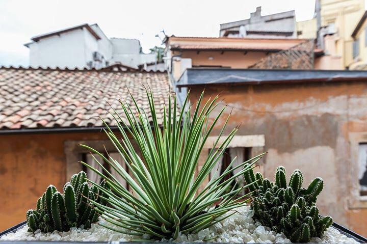 Navona Penthouse Appartamento Roma Esterno foto